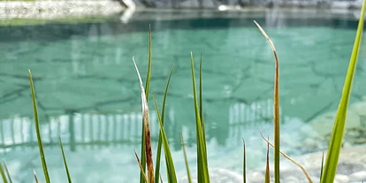 Hüttendorf - Fügenberg - Schwimmteich - Luxus Chalet - das brunn