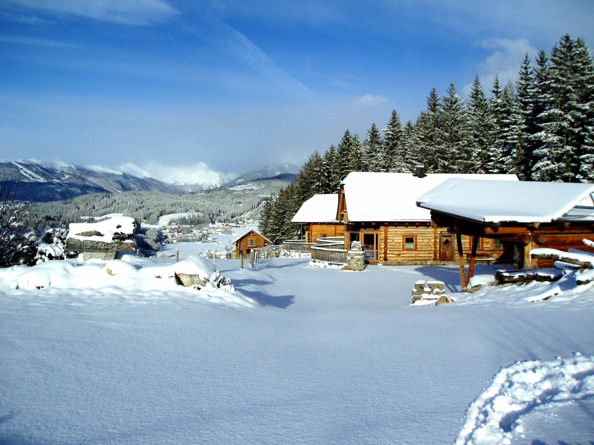 Alpenchalets Weissenbacher Hütten im Detail Ferienchalets Weissenbacher