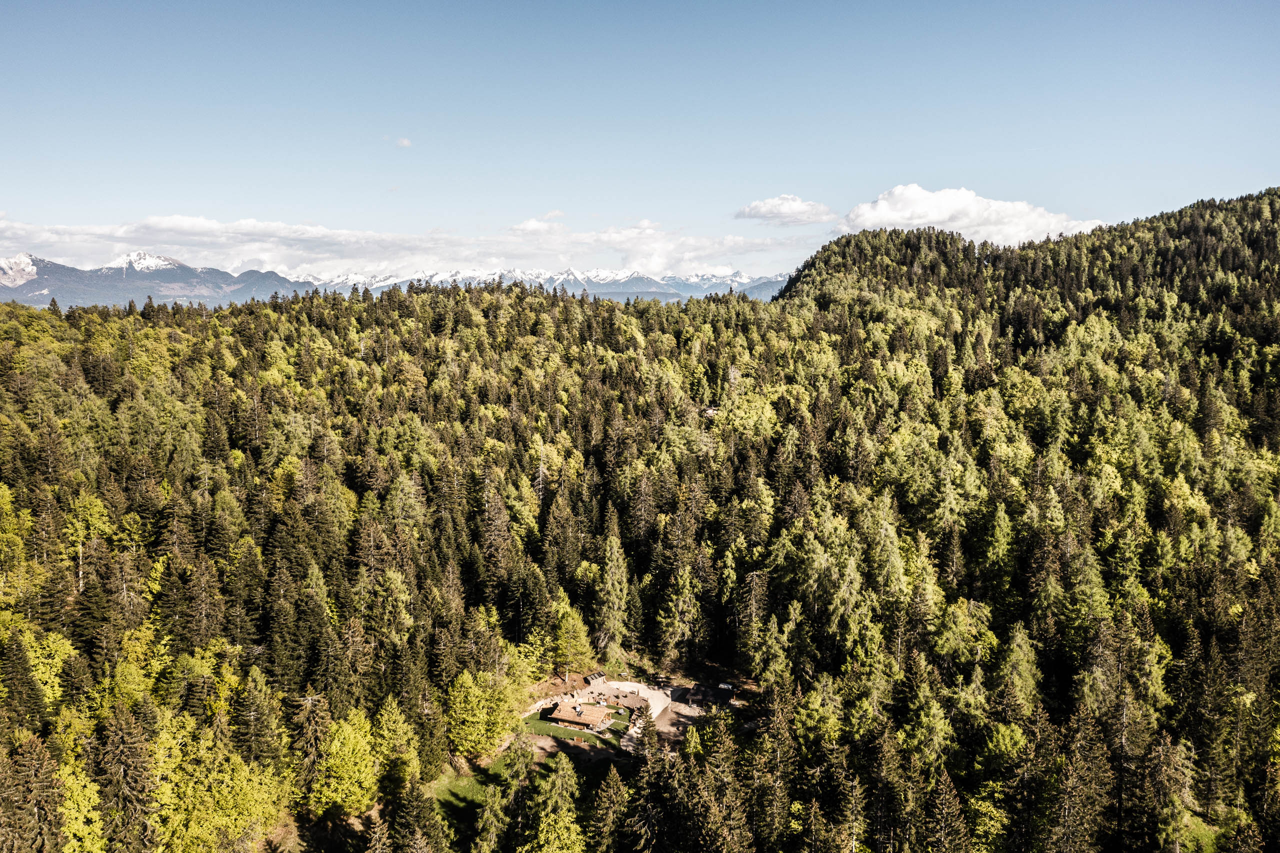 Hüttendorf - Schwerpunkt: Wanderurlaub - Trentino-Südtirol - Vogelperspektive - La Mendola Alm-Chalet