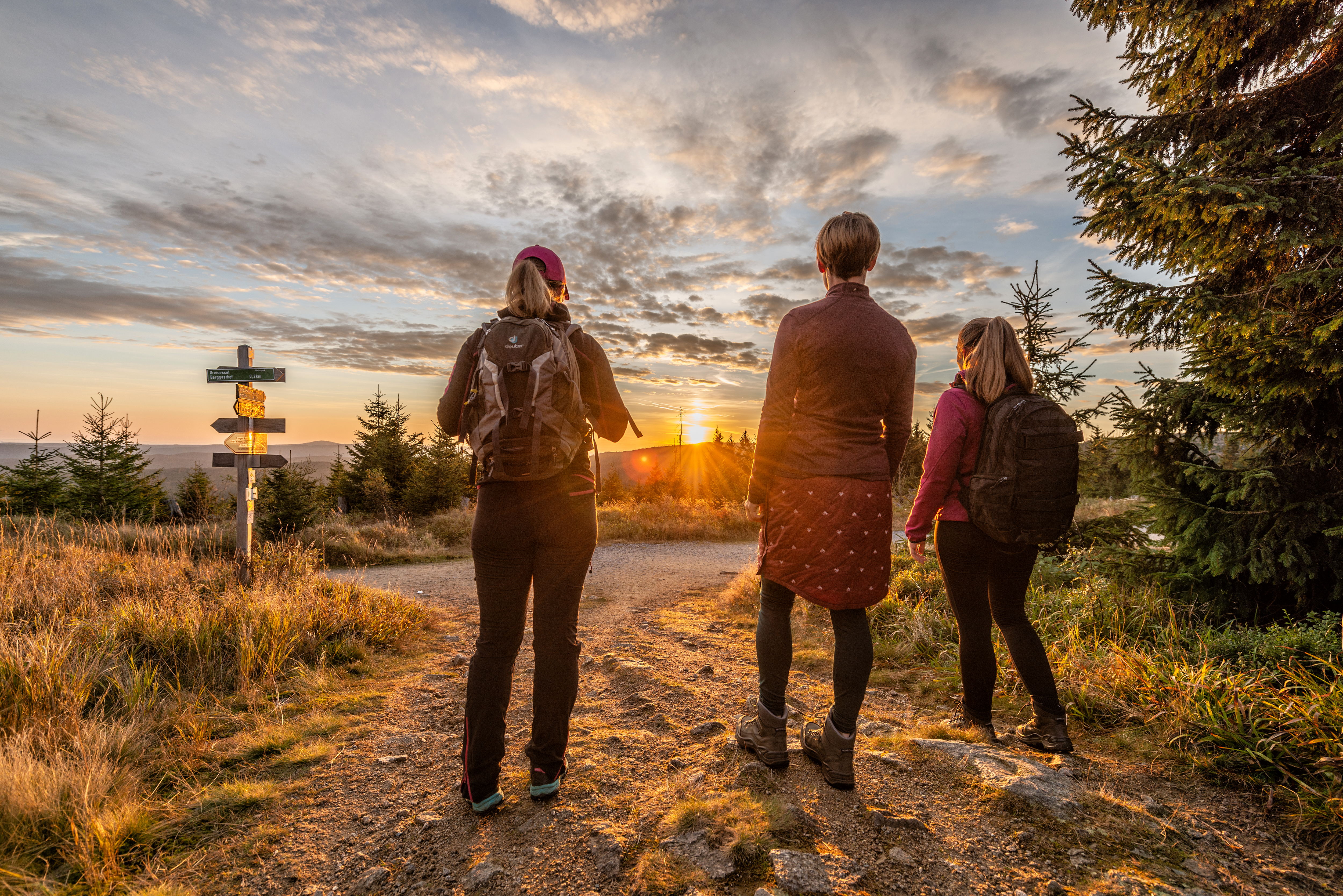 Chalet: Edlgütl | Hideaway - Umgebung