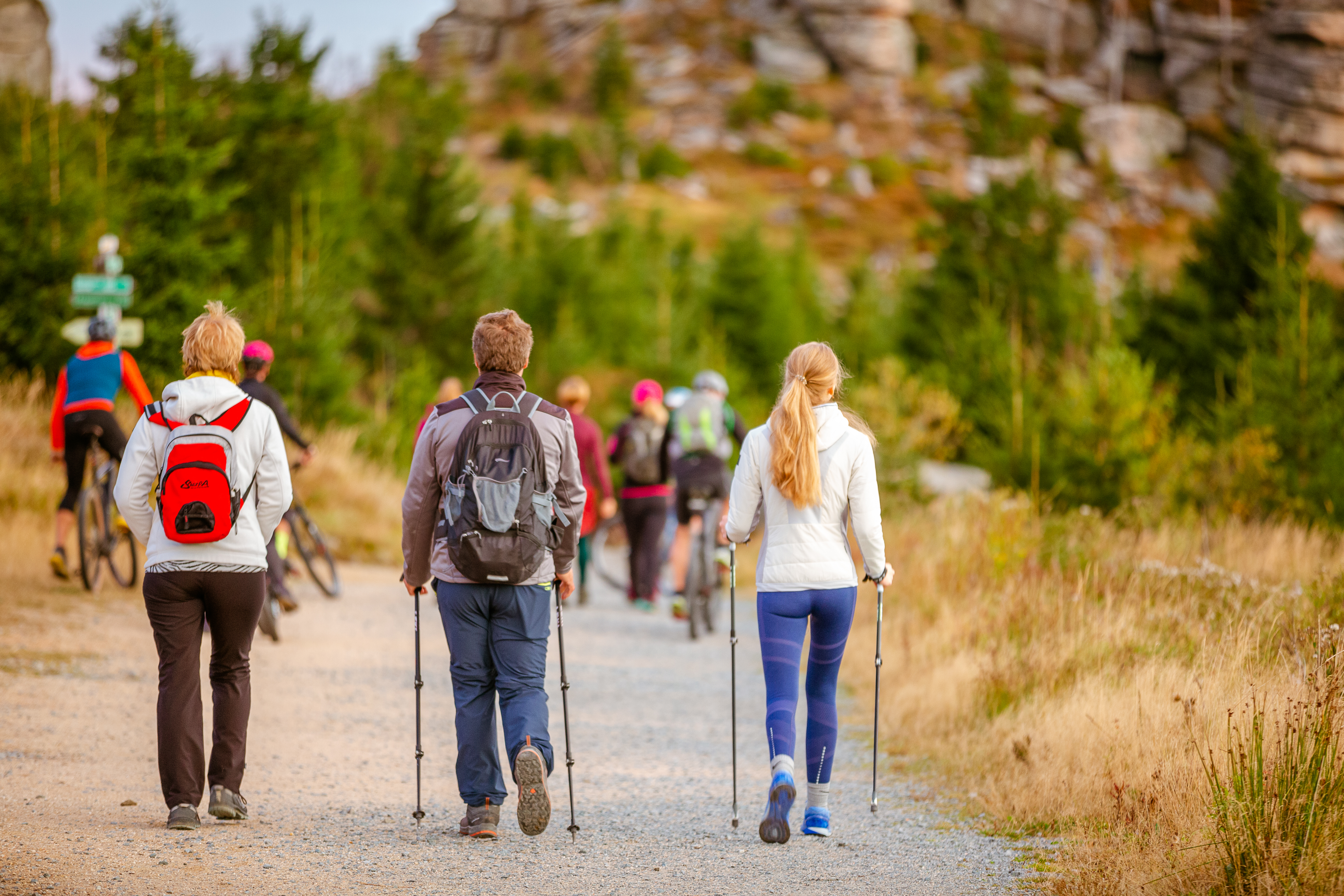 Chalet: Edlgütl | Hideaway - Umgebung