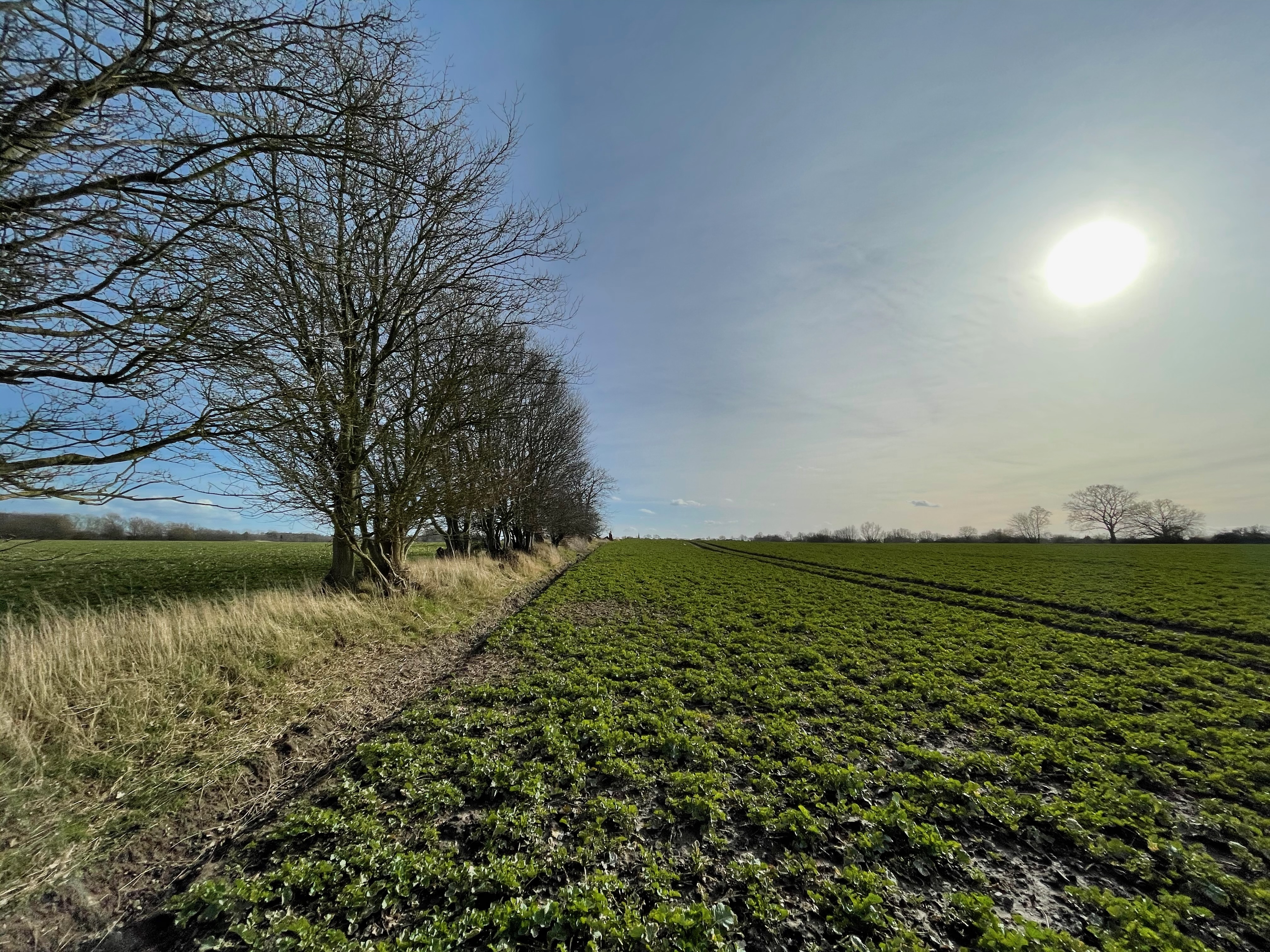 Chalet: Ostsee Baumhaushotel Schleswig-Holstein