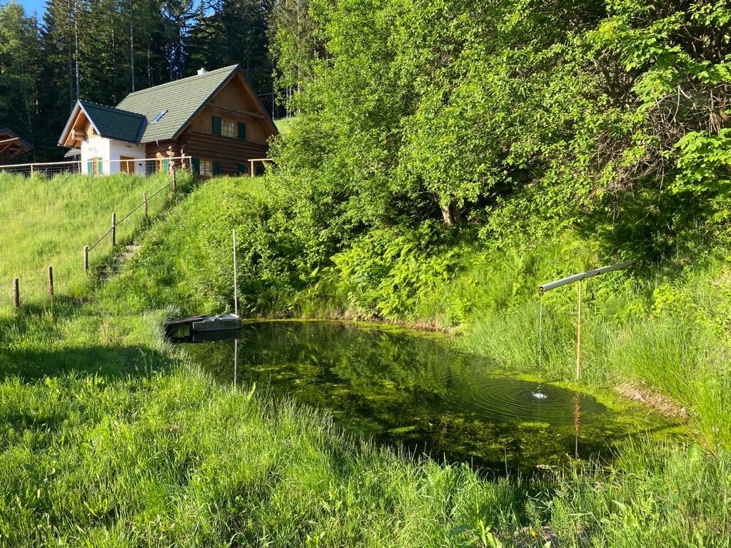 Hüttendorf - Frühstück: Frühstückservice - Schilcherlandchalet 