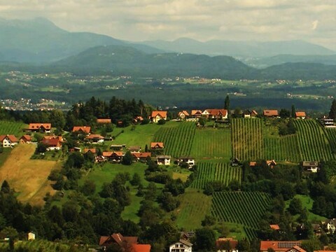 Chalet: Schilcherlandchalet 