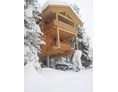 Chalet: Alpin Lodge Turrach