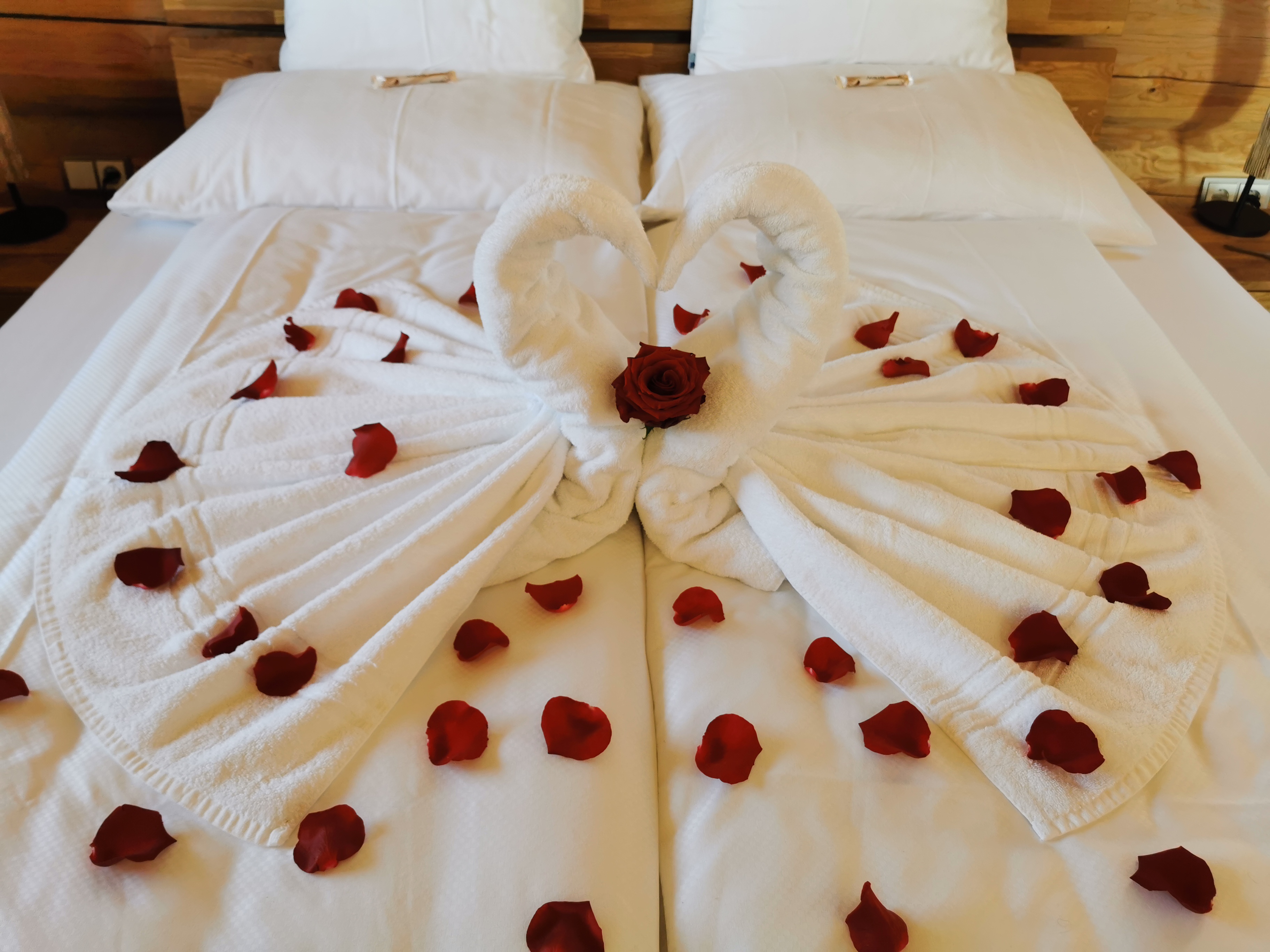 Chalet: Blockhausen Luxus Chalets