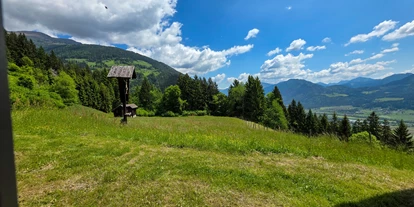 Hüttendorf - Chaletgröße: 8 - 10 Personen - Ausblick von der Eingangstüre in Richtung Osten - Beim Rauter – Emberger Alm