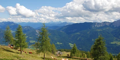 Hüttendorf - Chaletgröße: 8 - 10 Personen - Kühe auf der Emberger Alm - Beim Rauter – Emberger Alm