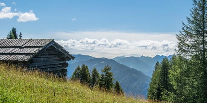 Hüttendorf - Chaletgröße: 8 - 10 Personen - Spazieren auf der Emberger Alm - Beim Rauter – Emberger Alm