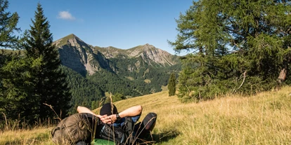 Hüttendorf - Chaletgröße: 8 - 10 Personen - Wandergebiet Oberes Drautal - Beim Rauter – Emberger Alm