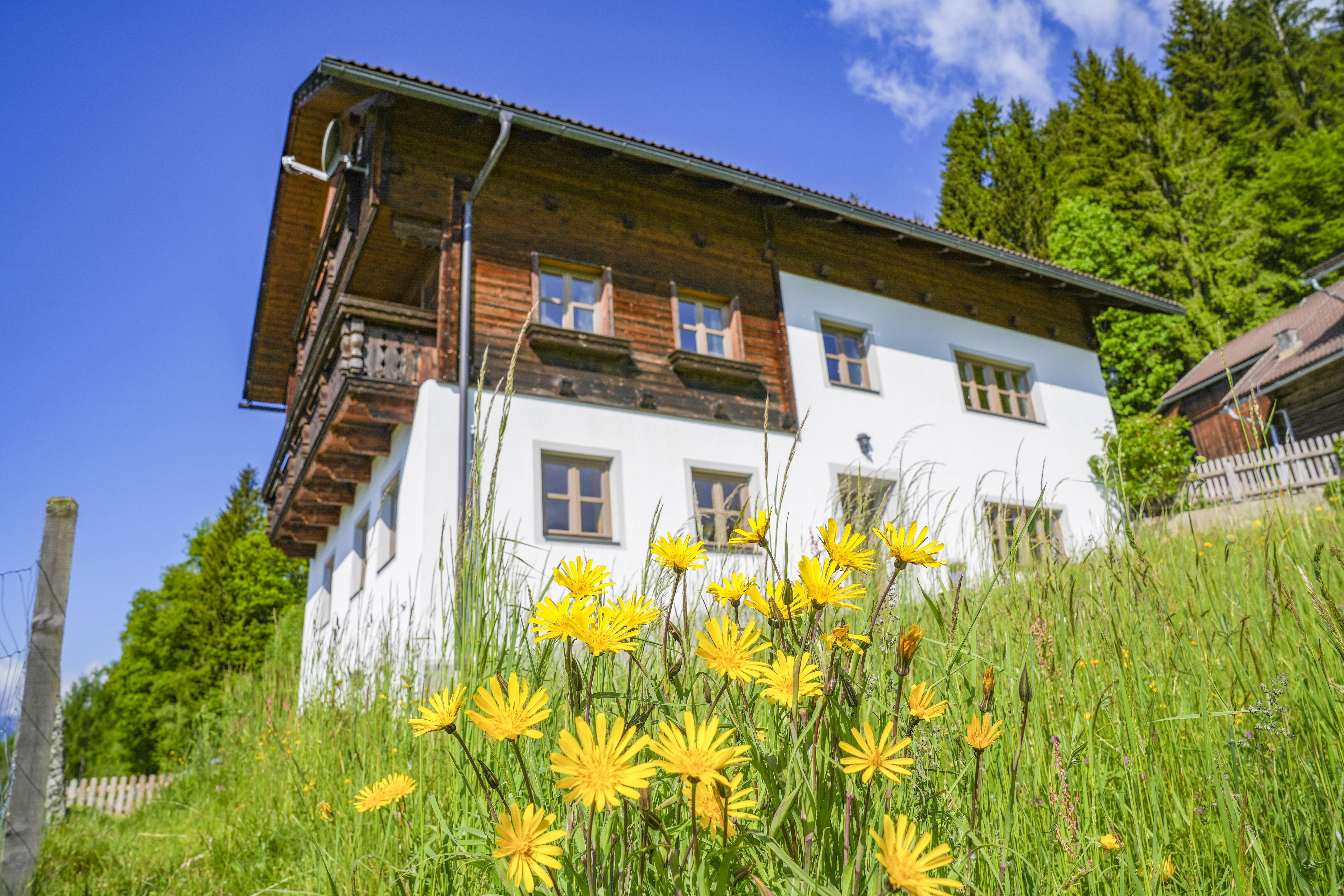 Chalet: Landhaus "Beim Rauter" – Premium-Chalet in Alleinlage, Frühling - Beim Rauter – Emberger Alm - Außen