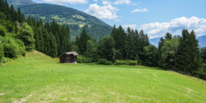 Hüttendorf - Chaletgröße: 8 - 10 Personen - Obstgarten – Auslauf für Hunde, Spielwiese für Kinder - Beim Rauter – Emberger Alm