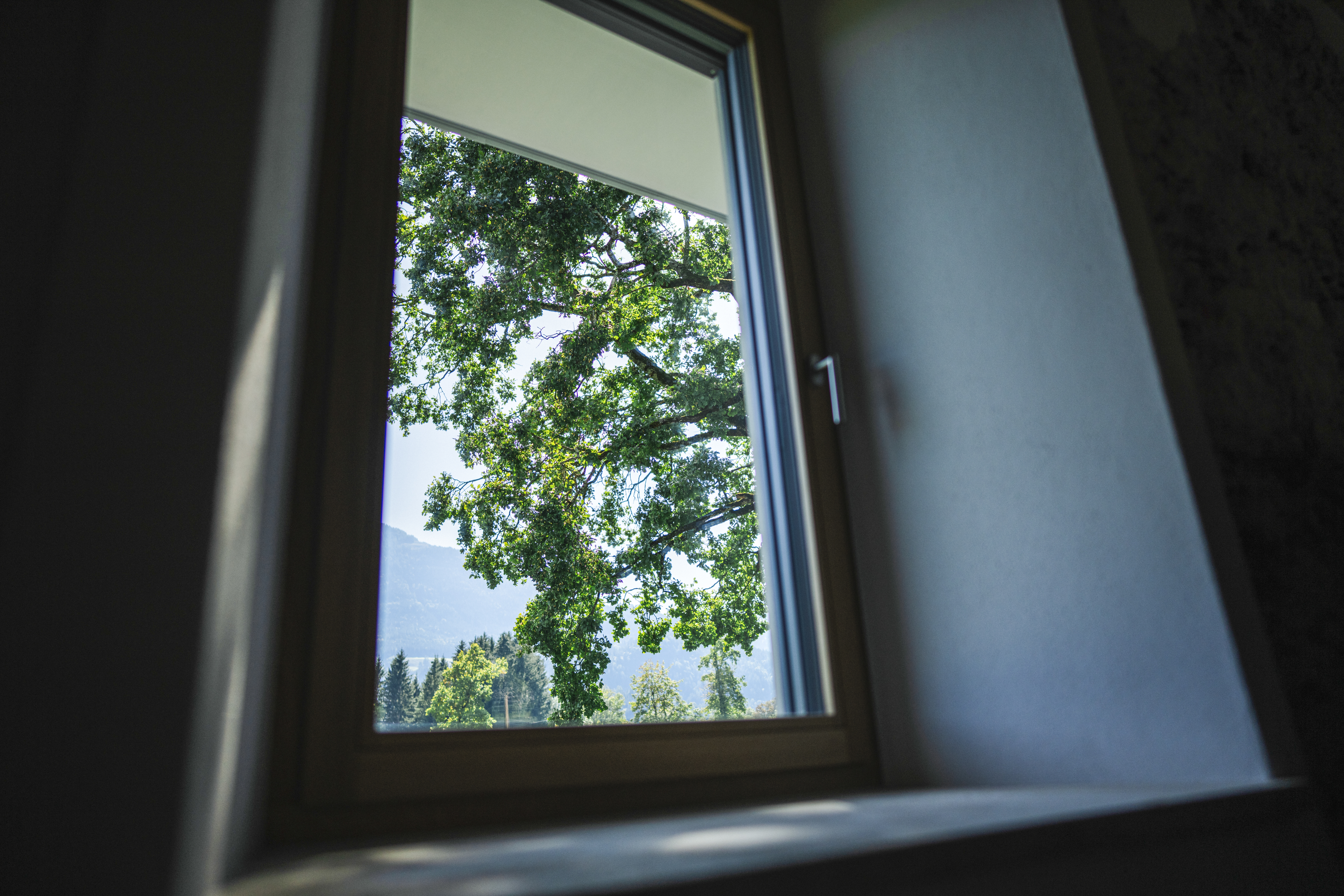 Chalet: Ausblick Fenster nach Süden - Das Jakob – Historia in Otium - Außen, Innen