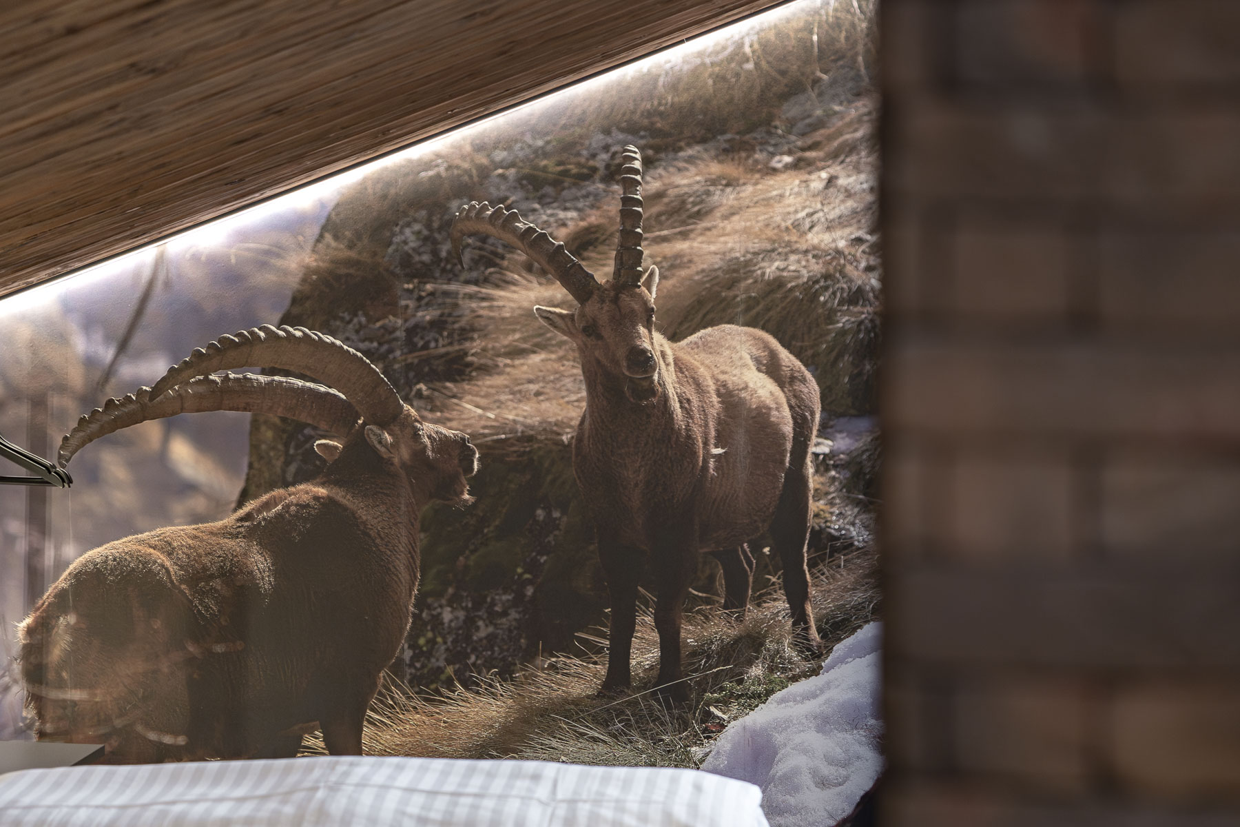 Chalet: Chalet Laudegg - Innen