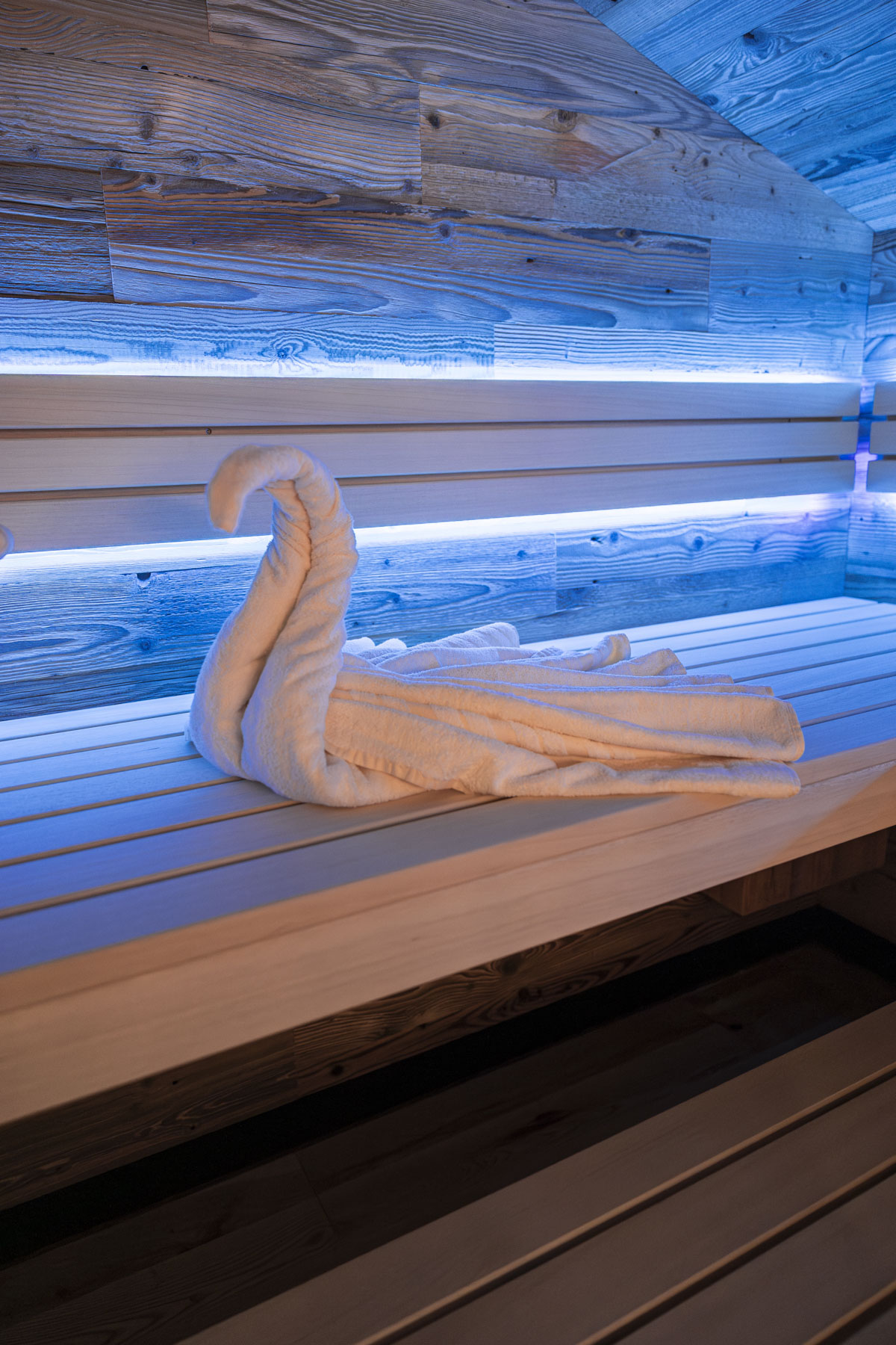 Chalet: Sauna - Chalet Laudegg - Wellness | Entspannen