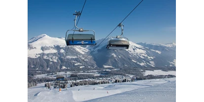 Hüttendorf - Chaletgröße: 4 - 6 Personen - Pinzgau - Unser Skigebiet die Zillertalarena 
166 Schneesichere Pistenkilometer purer Spass  - Sam-Alm