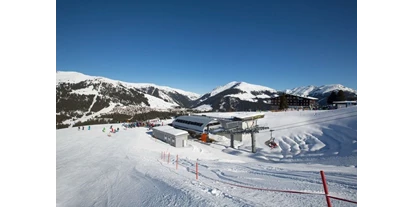 Hüttendorf - Chaletgröße: 4 - 6 Personen - Pinzgau - Unser Skigebiet die Zillertalarena 
166 Schneesichere Pistenkilometer purer Spass  - Sam-Alm