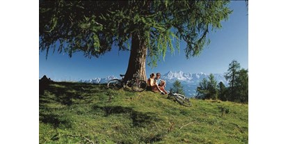 Hüttendorf - Chaletgröße: 2 - 4 Personen - Tiroler Unterland - Natur Pur - Sam-Alm 