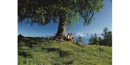 Hüttendorf - Chaletgröße: 4 - 6 Personen - Pinzgau - Natur Pur - Sam-Alm