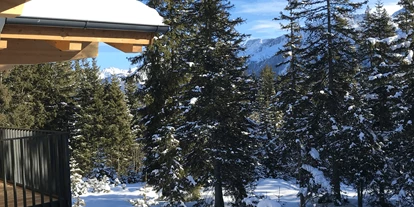 Hüttendorf - Chaletgröße: 4 - 6 Personen - Pinzgau - Blick von Wohnung Top 1/2/3 nach Süden zu den Hohentauern mit Österreichs 2 höchsten Berg dem Groß Venedige - Sam-Alm