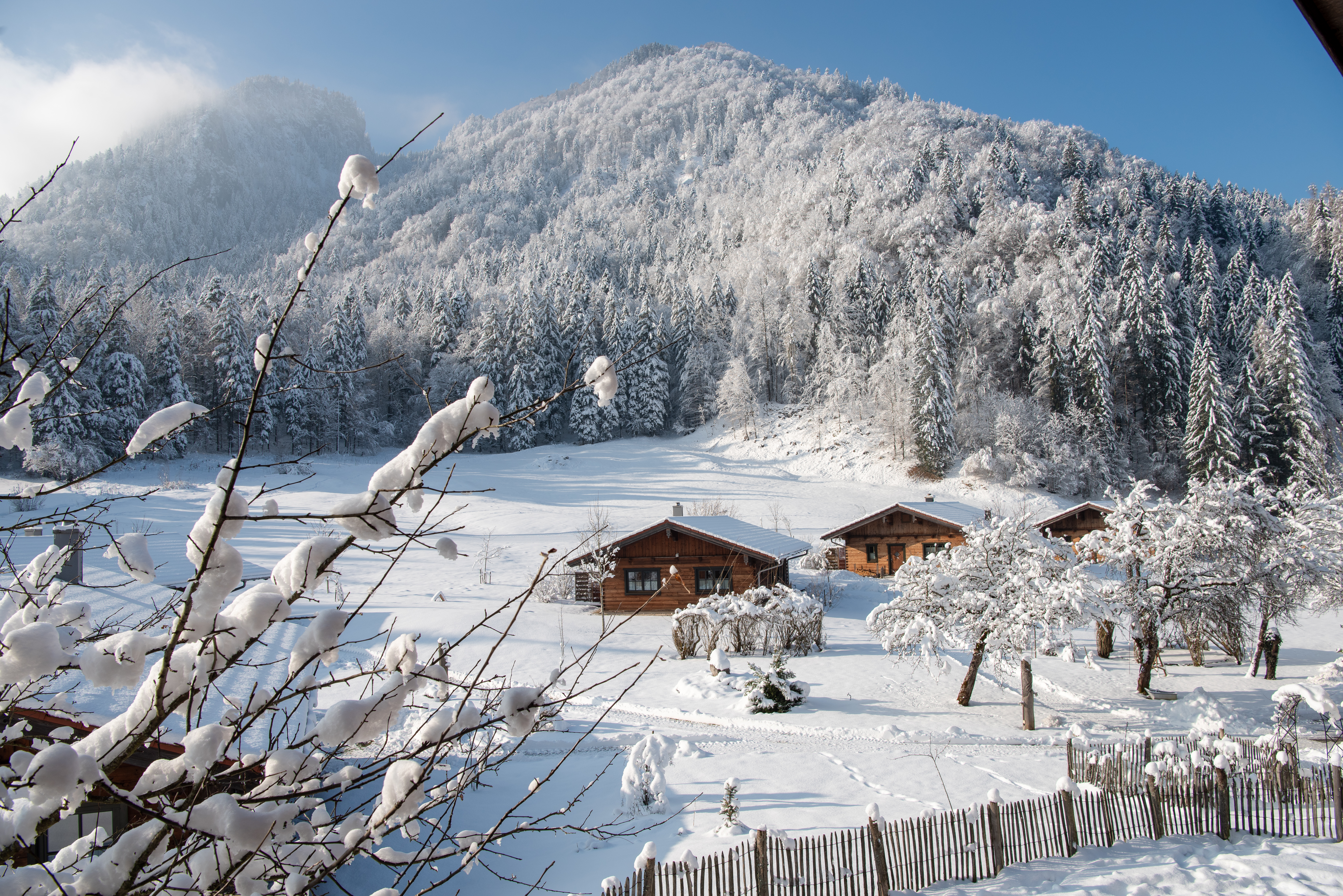 Chalet: Winterimpression - Beim Waicher, hundefreundliche Chalets mitten in der Natur.