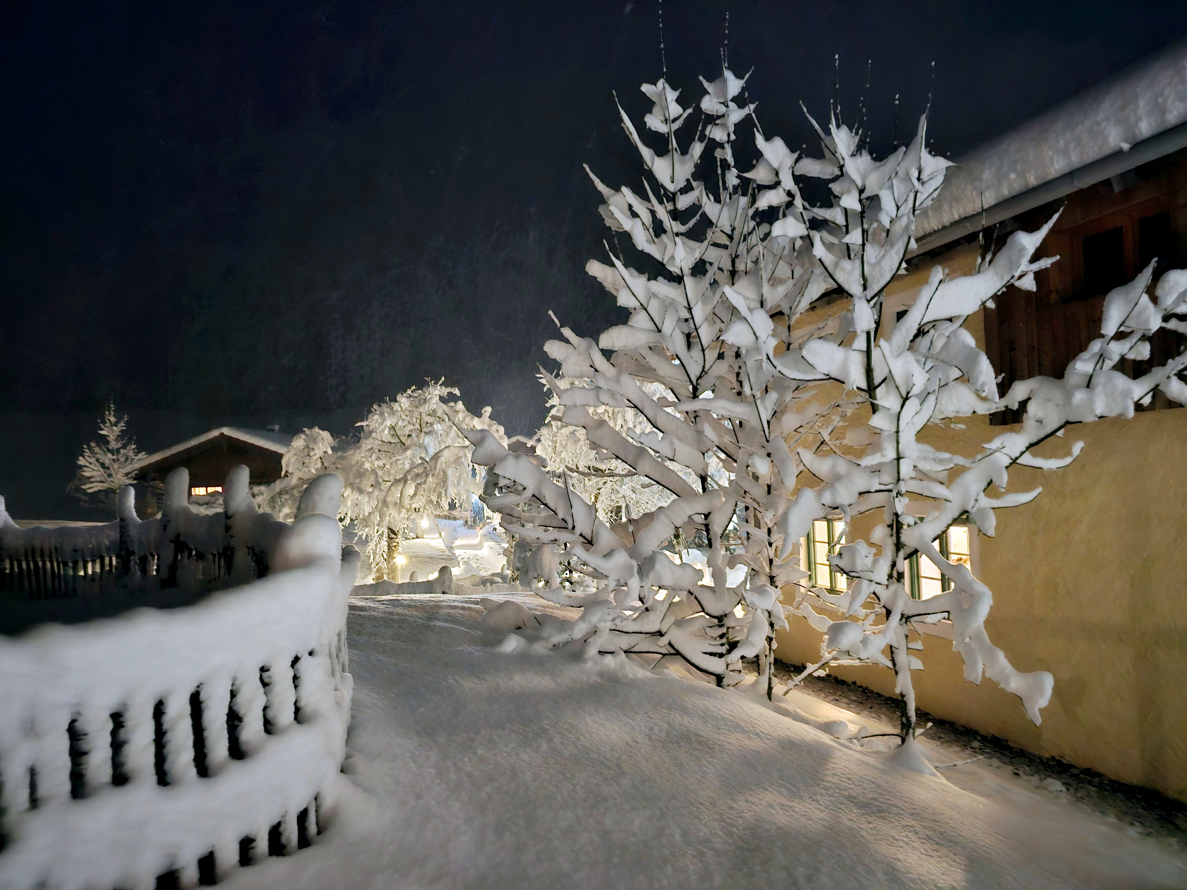 Chalet: Winterabend - Beim Waicher, hundefreundliche Chalets mitten in der Natur.