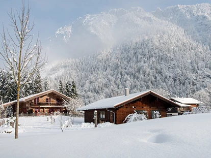 Hüttendorf - Whirlpool: beim Chalet - Rauschberg mit unseren Chalets im Vordergrund - Chalets&Suiten Beim Waicher