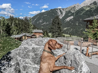 Hüttendorf - Schröcken - Das Benglerwald Berg Chaletdorf verfügt über 4 komplett eingezäunte Chalets. Ideal für Hundebesitzer. - Benglerwald Berg Chaletdorf
