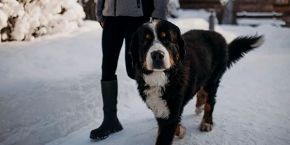 Hüttendorf - Weng (Goldegg) - Auszeit mit Hund - Chaletdorf Auszeit