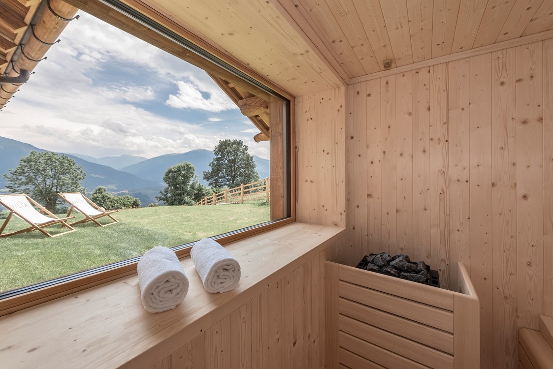 Chalet: Sauna Chalet - Dilia Dolomites