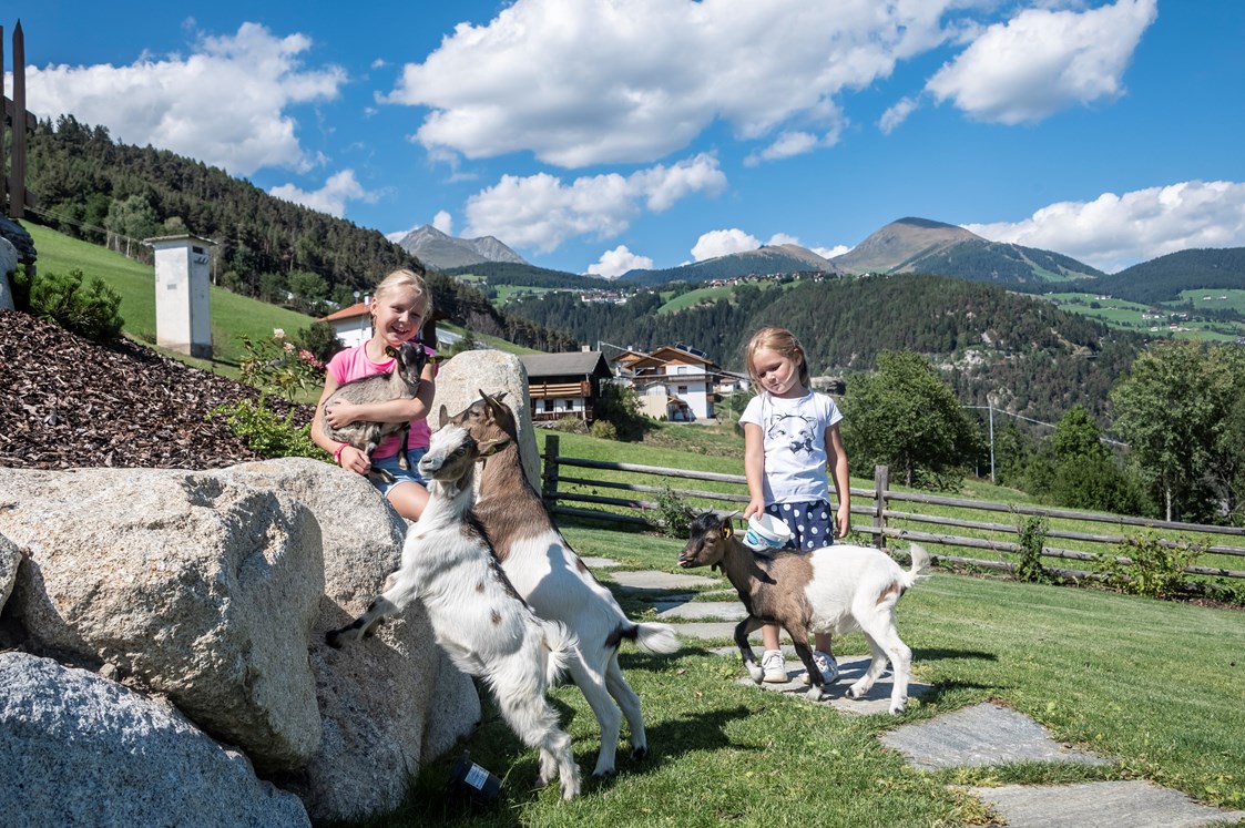 Chalet: Tiere Streichelzoo - Dilia Dolomites