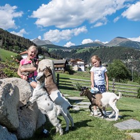 Chalet: Tiere Streichelzoo - Dilia Dolomites