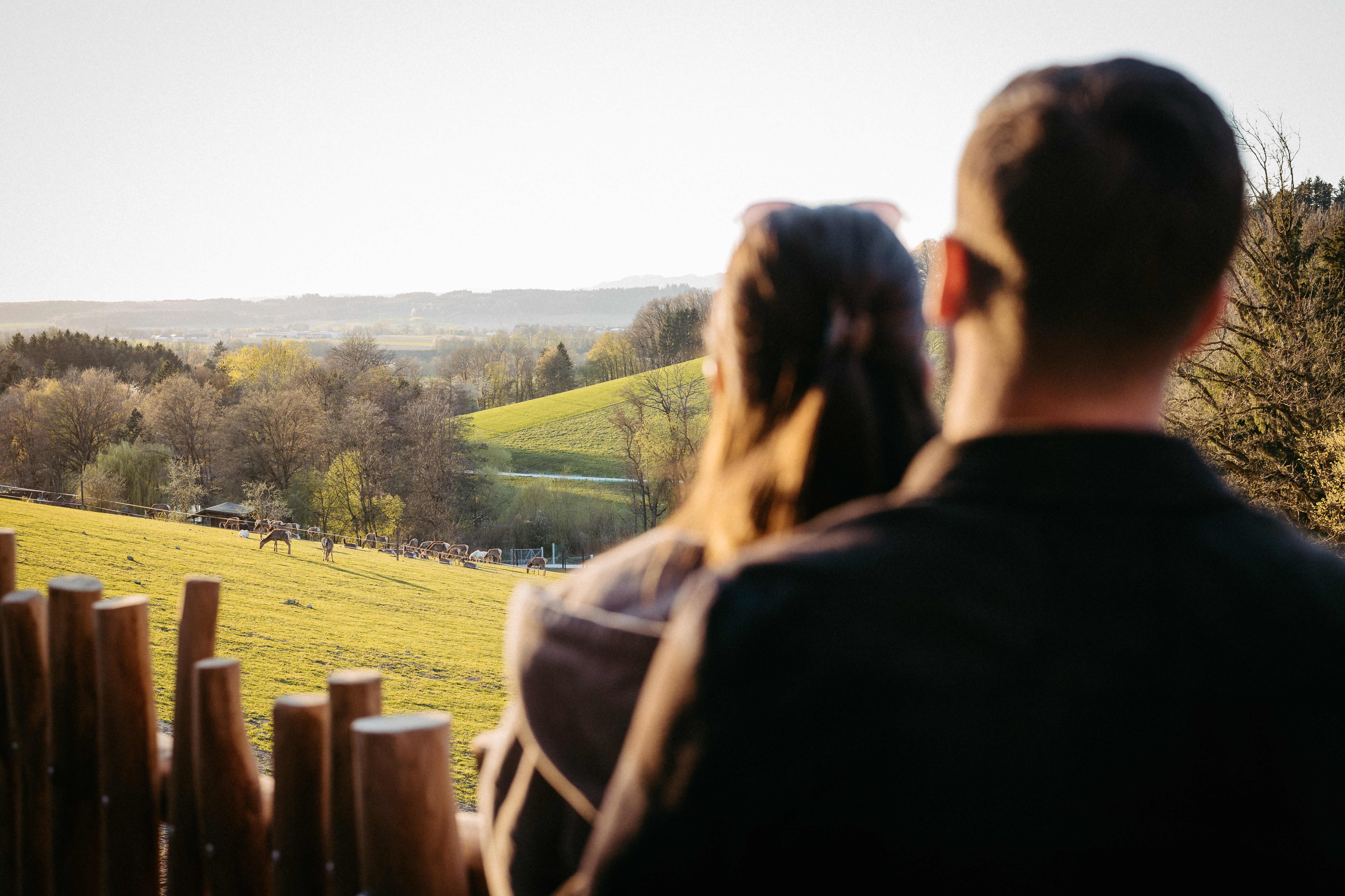 Chalet: Wildpark Blick von der Lodge - Wildpark Lodges - Außen