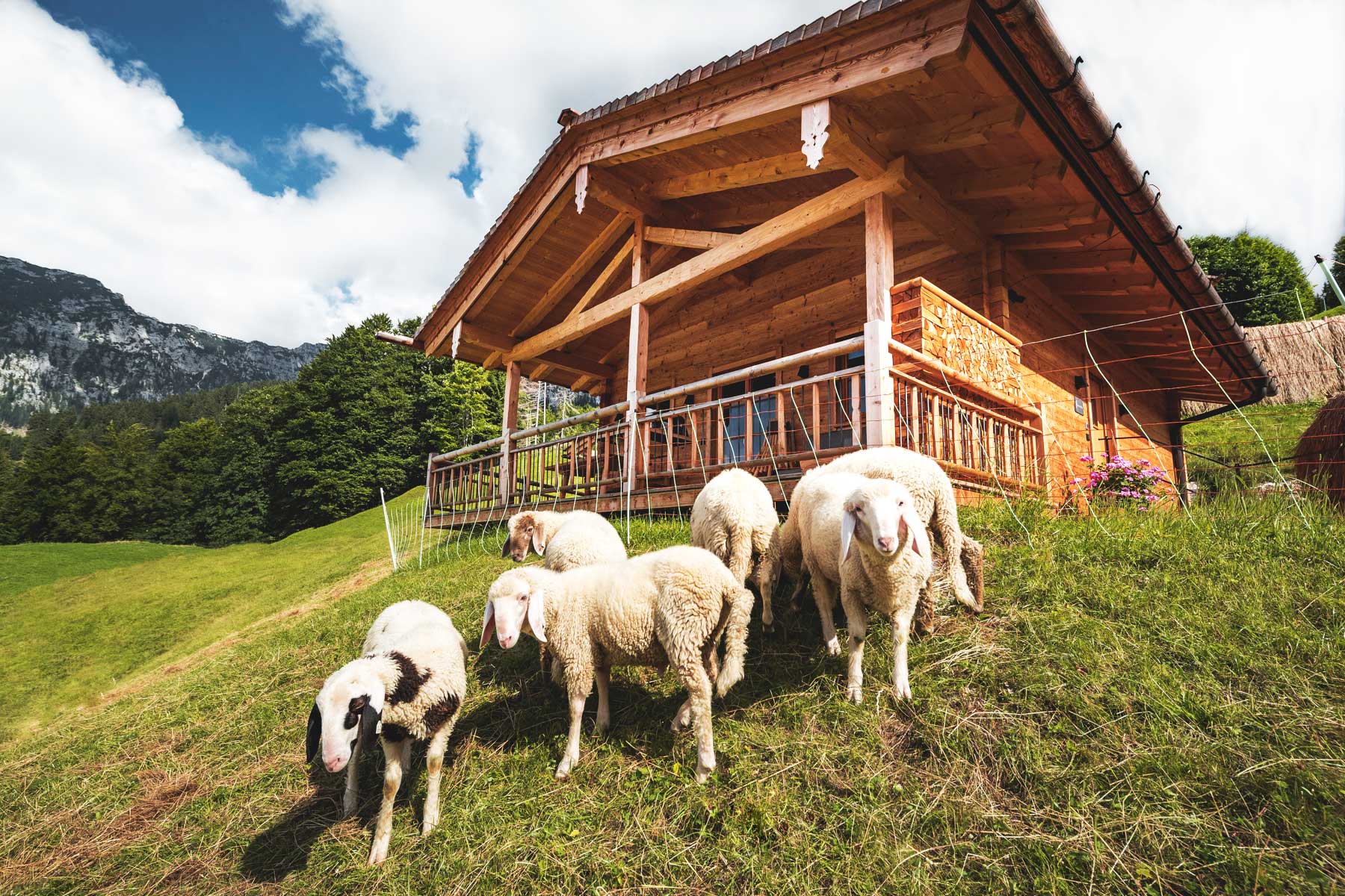 Hüttendorf - PLZ 5672 (Österreich) - Almdorf Vorderbrand