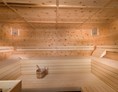 Chalet: Sauna im Chalet Edelweiß - EDELWEISS CHALETS Zauchensee