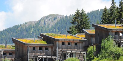 Hüttendorf - Umgebungsschwerpunkt: Berg - Kleinreifling - Feriendorf Hohentauern by ALPS RESORTS