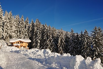 Chalet: Romantik-Chalet Waldschlössl - Ferienhütten Tirol