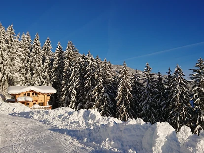 Hüttendorf - Chaletgröße: 8 - 10 Personen - Romantik-Chalet Waldschlössl - Ferienhütten Tirol