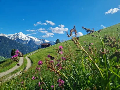 Hüttendorf - Chaletgröße: 8 - 10 Personen - Panoramahütte - Ferienhütten Tirol