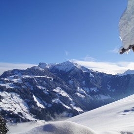 Chalet: Alpenchalet Bergkristall - Ferienhütten Tirol