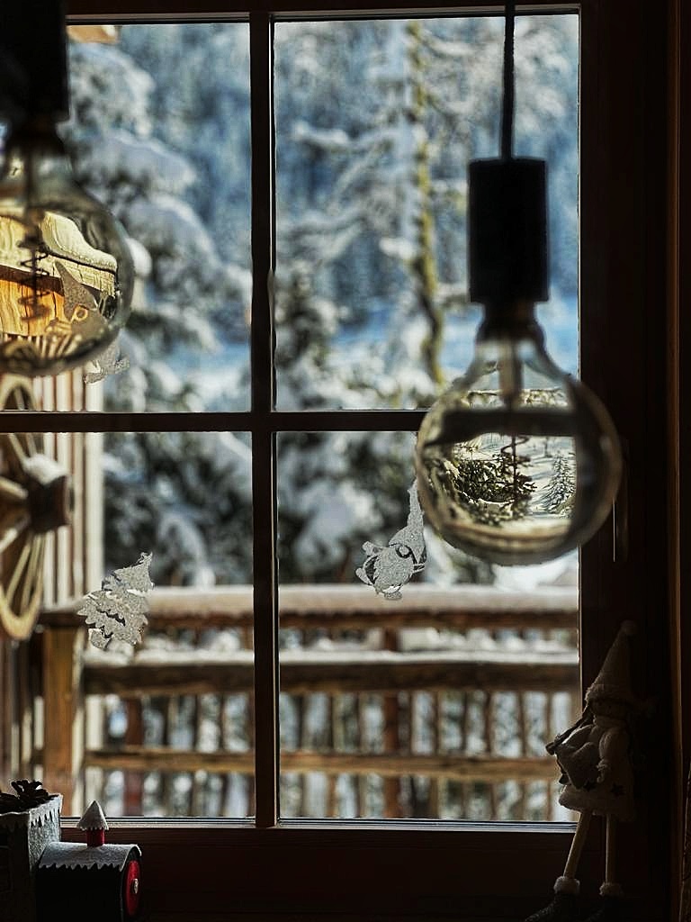 Chalet: Almhütten Sprachmann Flattnitz - Innen