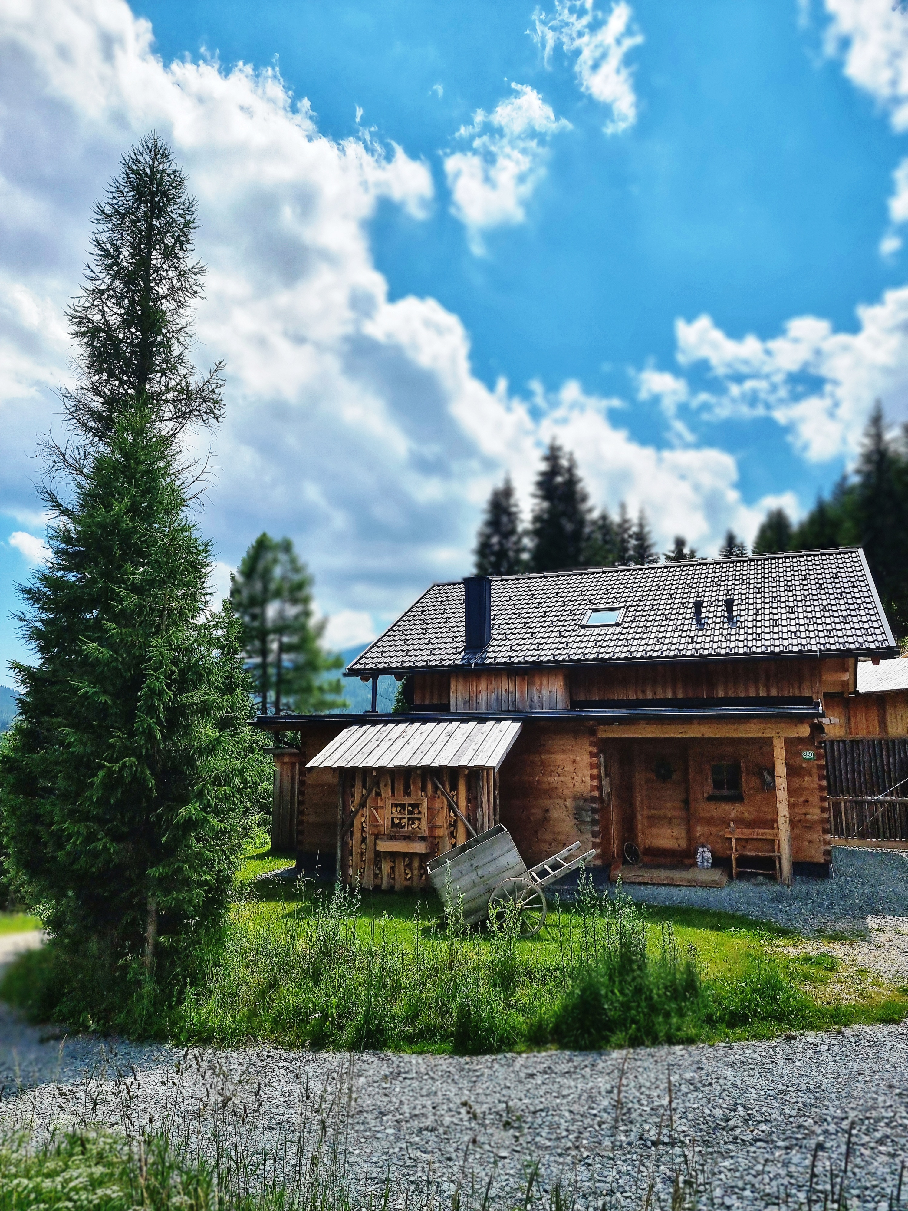 Hüttendorf - Flattnitz - Große Hütte für 10 Personen  - Almhütten Sprachmann Flattnitz