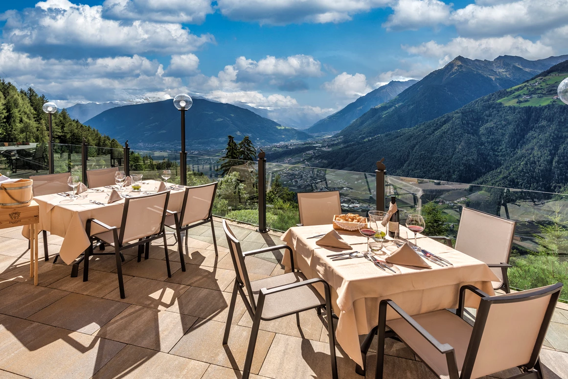 Chalet: Panoramaterrasse  - MOUNTAIN VILLAGE HASENEGG