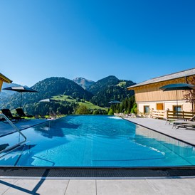 Chalet: Infinity-Pool - Beim Hochfilzer-Hotel & Premium Chalets