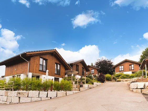 Chalet: Außenansicht Göbel´s Chalet Park - Göbel´s Chaletpark Diemelsee - Außen