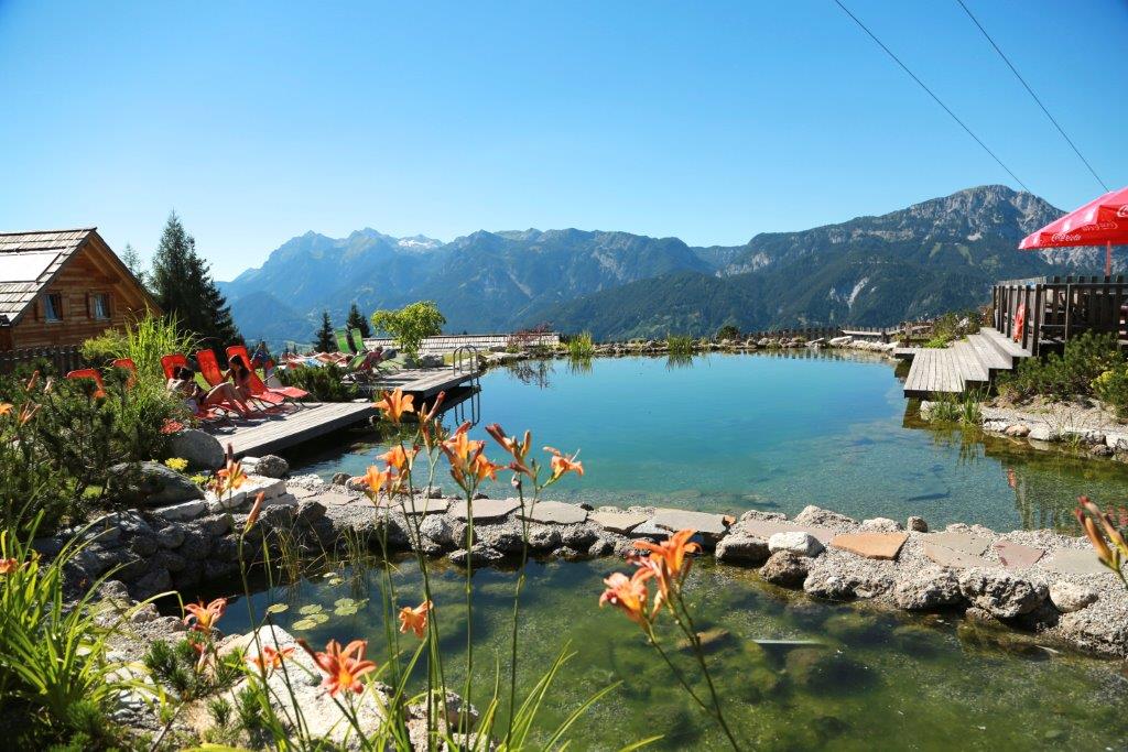 Hüttendorf - Steiermark - Der 250m² große Schwimmteich - Hüttendorf Pruggern