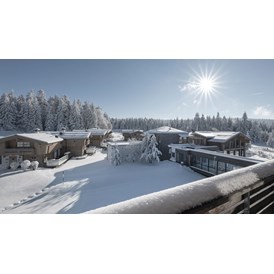 Chalet: INNs HOLZ Chaletdorf Resort im Winter - INNs HOLZ Chaletdorf
