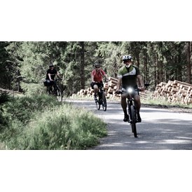 Chalet: INNs HOLZ Chaletdorf im Sommer Radfahren Mountainbike - INNs HOLZ Chaletdorf