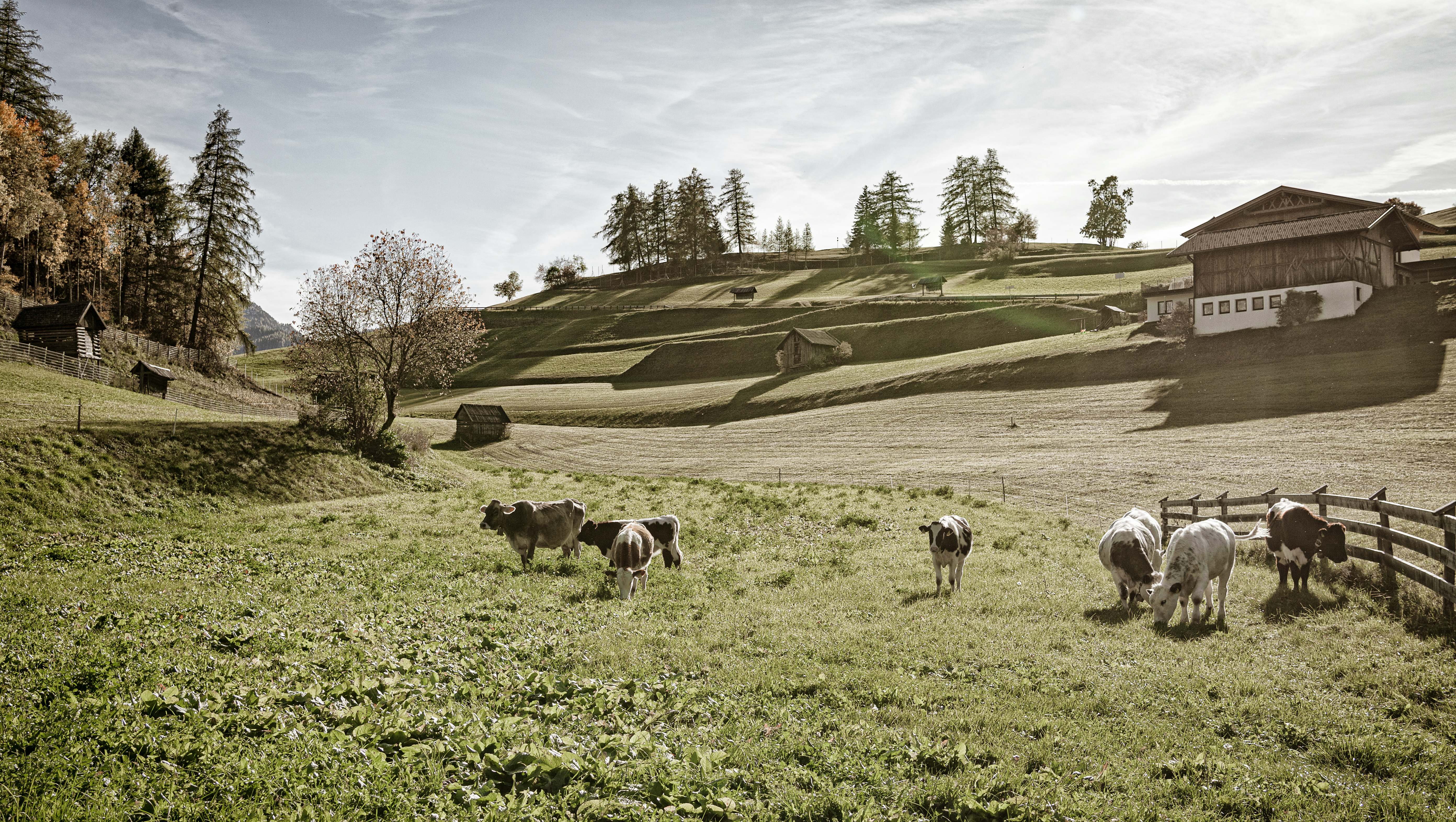 Chalet: Hüttendorf Ladizium
