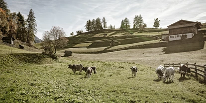 Hüttendorf - Schröcken - Hüttendorf Ladizium